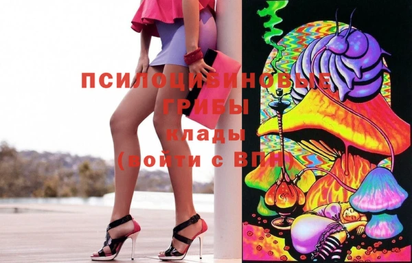 альфа пвп Армянск