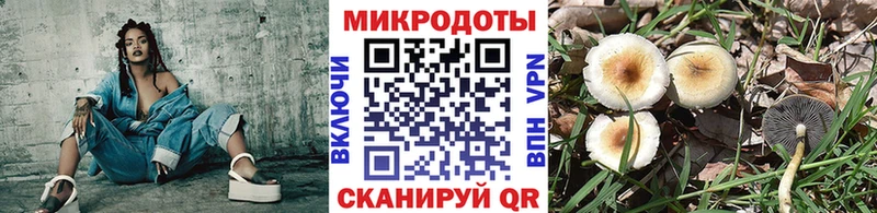 Псилоцибиновые грибы MAGIC MUSHROOMS  Стародуб 